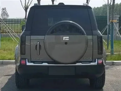 BAIC Stone 01