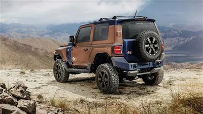 فورد ترولر TX4