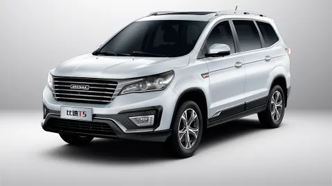 بیسو T5